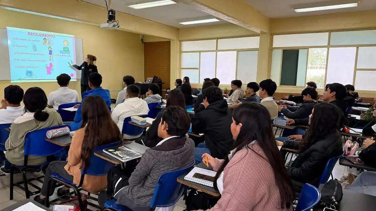 universitarios tendran acceso a una beca